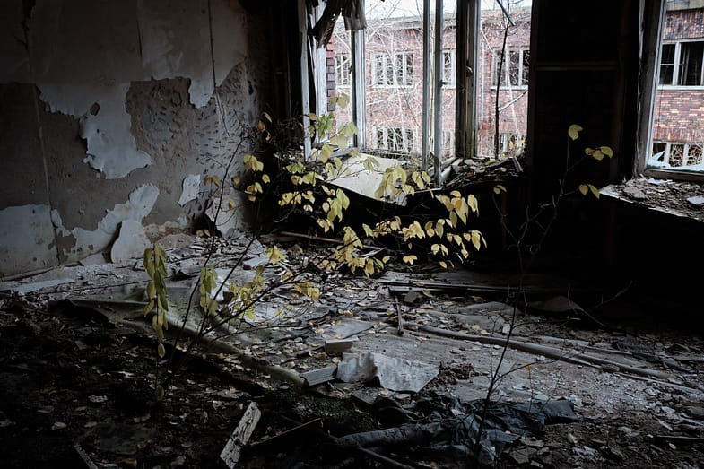 A birch tree within a room of former NS paratrooper school