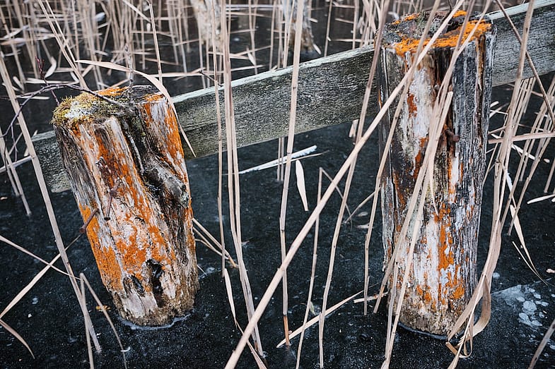 icy footway on frozen lake 26 01 25 by ERIC ERSHUN