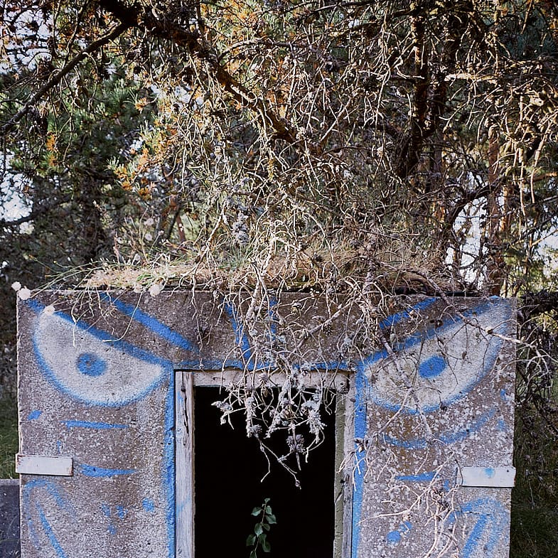 Graffiti at the abandoned NVA shooting range